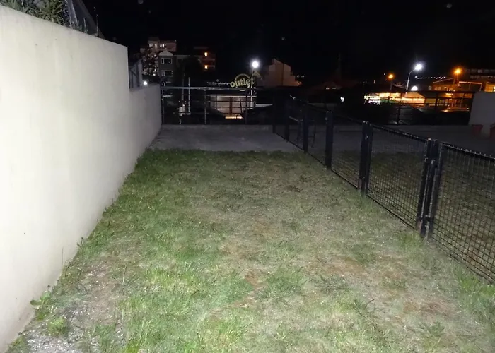 Patio Al Beagle